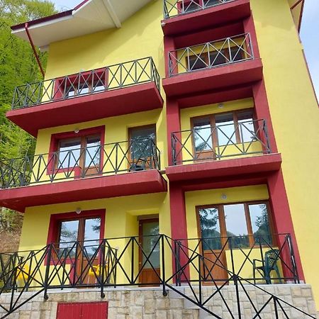 Vila Ioana Slanic Moldova Exterior photo