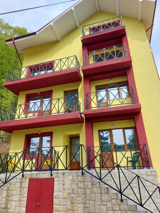 Vila Ioana Slanic Moldova Exterior photo